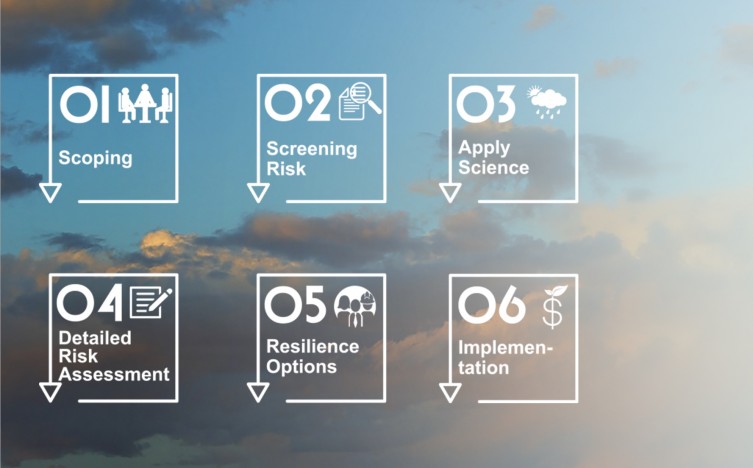 6_Steps_Insights_main