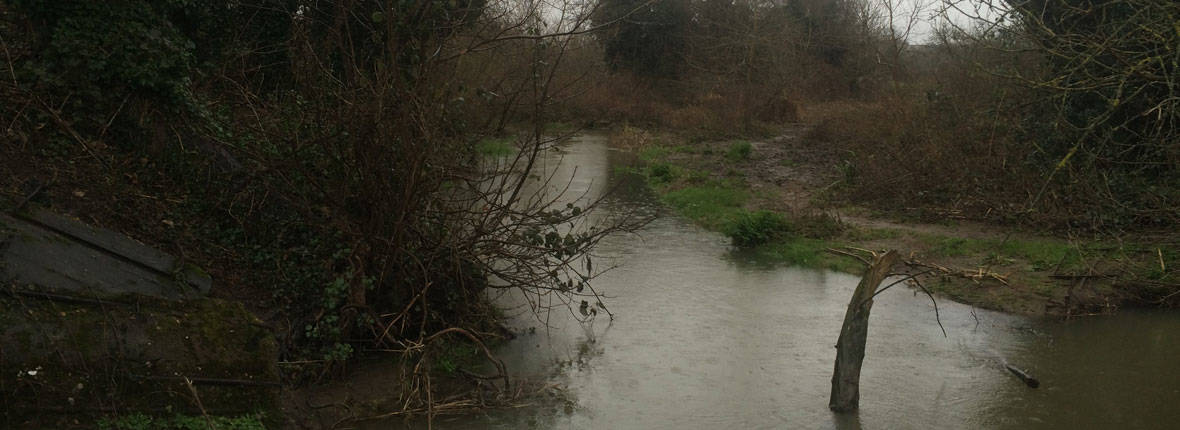 aylesford to allington lock